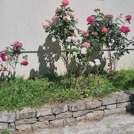 Boise En Cevennes - O Jardin D'a Cote Pour 2 Pers Max * Avèze